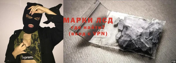 прущие грибы Карталы
