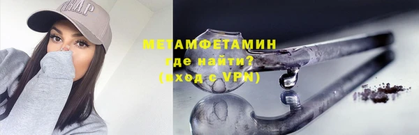 прущие грибы Карталы