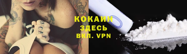 прущие грибы Карталы