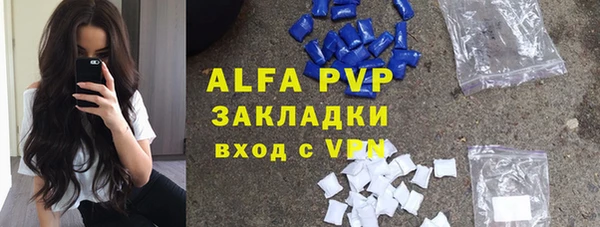 прущие грибы Карталы