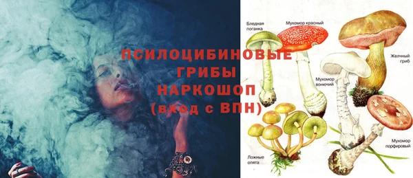 соль ск Касимов
