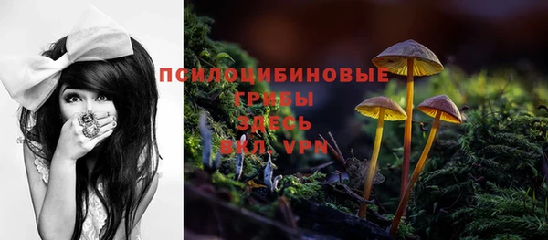 ECSTASY Карпинск